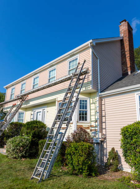 Best Same-Day Junk Removal Services  in Plain City, OH